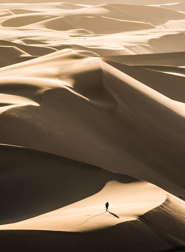 person walking in the desert